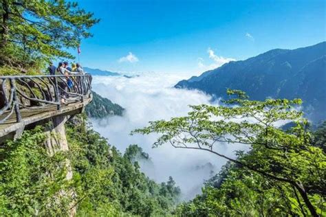 广西大明山|广西大明山自然保护区简介